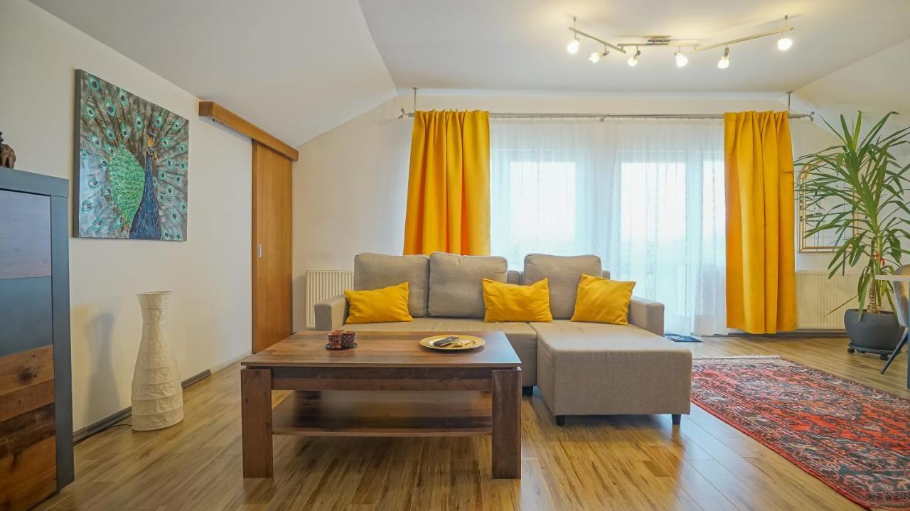 Appartement Vilux With Indoor Private Parking à Braşov Extérieur photo